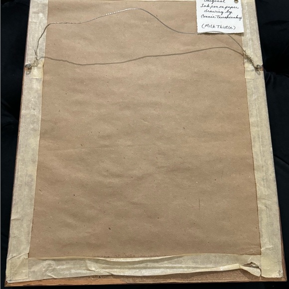 Vintage Framed Botanical Ink Pen Illustration Milk Thistle & Leaves MCM Unique - Picture 6 of 10